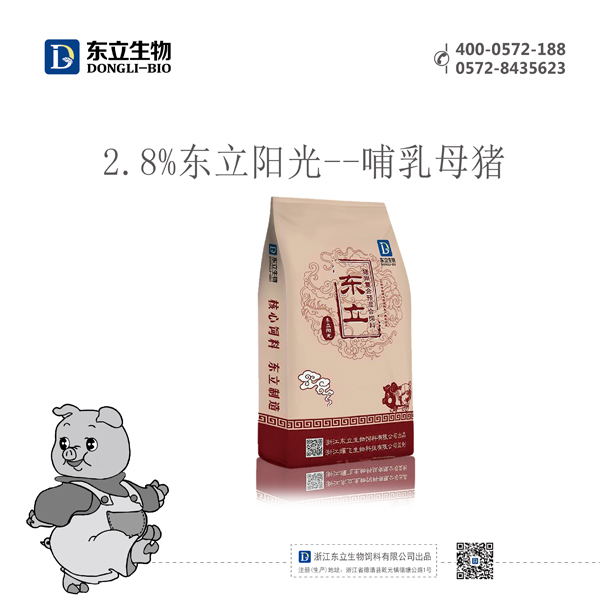 2.8%陽(yáng)光哺乳母豬